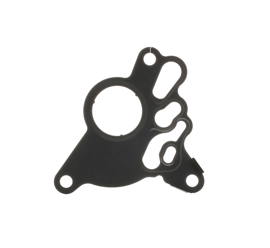 ELRING Joint d'étanchéité, pompe à carburant 485.190 VW,SKODA,AUDI,GOLF V 1K1,TOURAN 1T1, 1T2,PASSAT