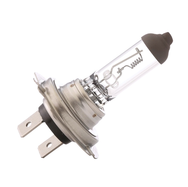 RIDEX Ampoule, projecteur longue portée 106B0013 MERCEDES-BENZ,VOLVO,IVECO,ACTROS,ACTROS MP2 / MP3,A