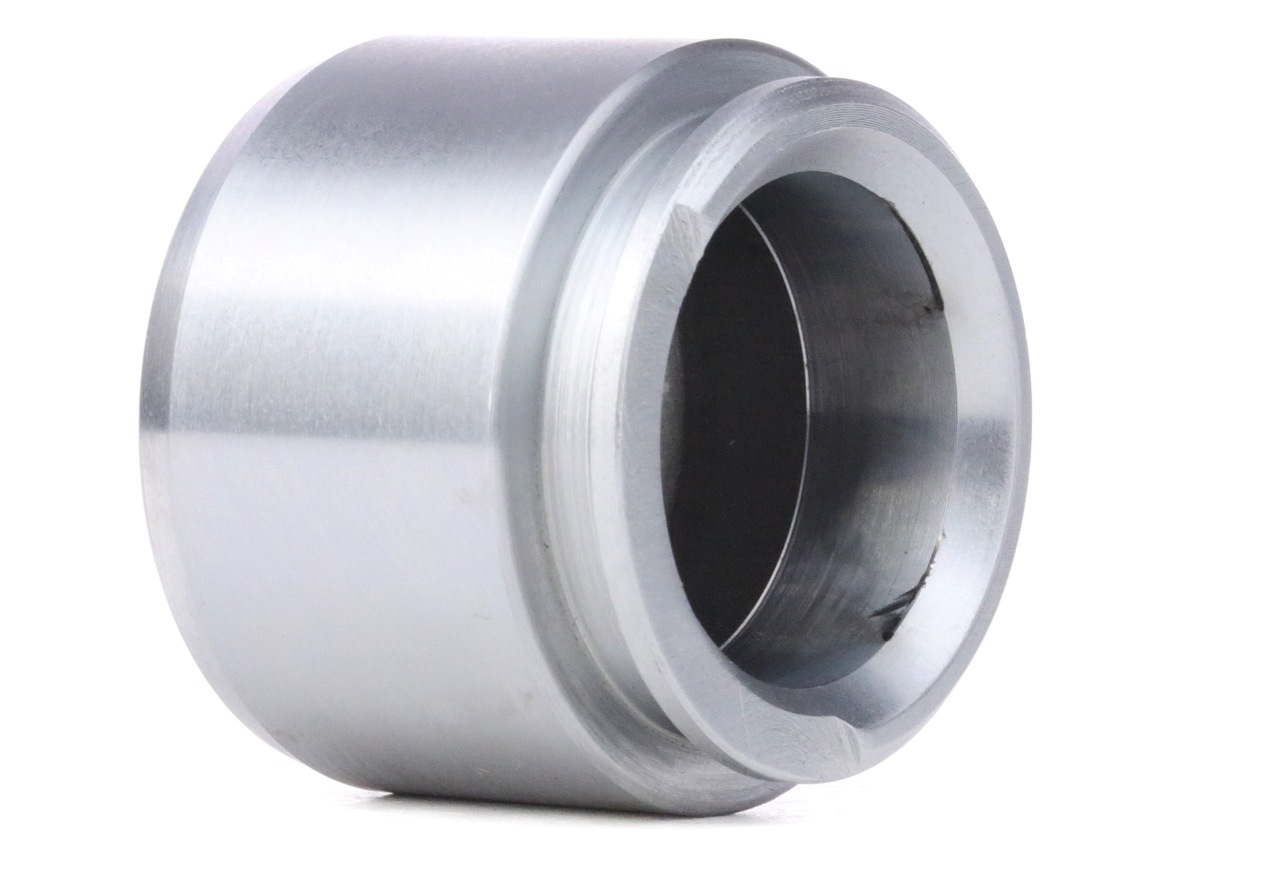 RIDEX Piston, étrier de frein 2248P0029 AUDI,MERCEDES-BENZ,OPEL,A8 4D2, 4D8,Sedán W123,SL R107,CLASE