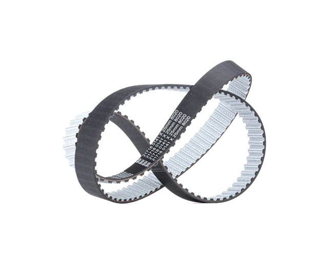 Zahnriemen Breite: 25,0mm mit OEM-Nummer 038-109-119D