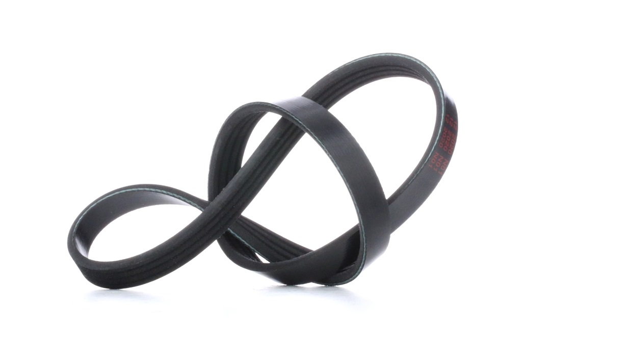 FEBI BILSTEIN Courroie Trapézoïdale à Nervures 28769 RENAULT,PEUGEOT,DACIA,SANDERO/STEPWAY I,LOGAN I