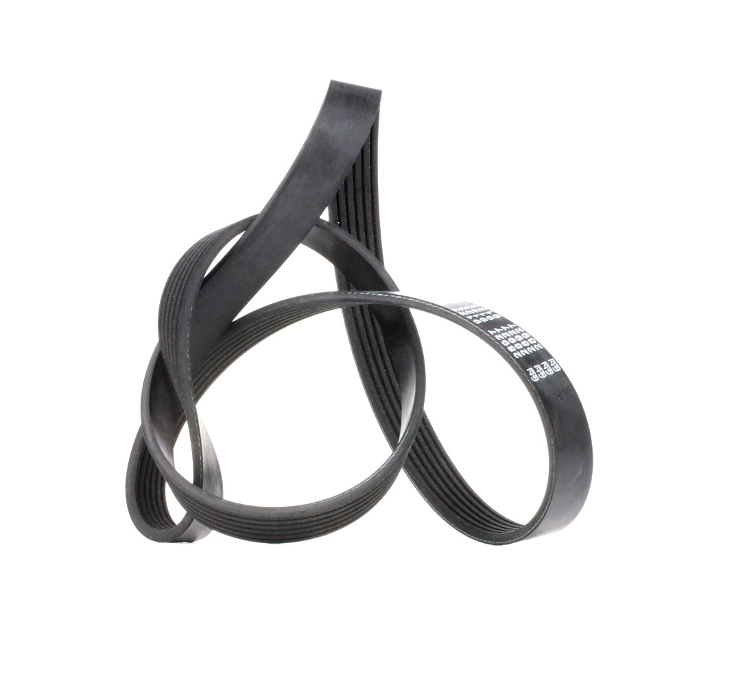 FEBI BILSTEIN Courroie Trapézoïdale à Nervures 28927 VW,OPEL,RENAULT,TRANSPORTER V Furgón 7HA, 7HH,