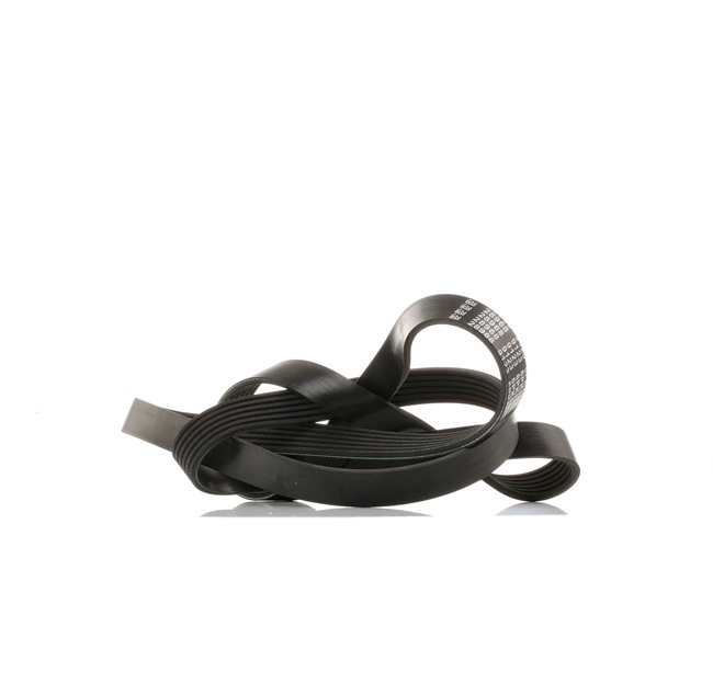 Keilrippenriemen Länge: 1698mm, Rippenanzahl: 6 mit OEM-Nummer 6PK1700