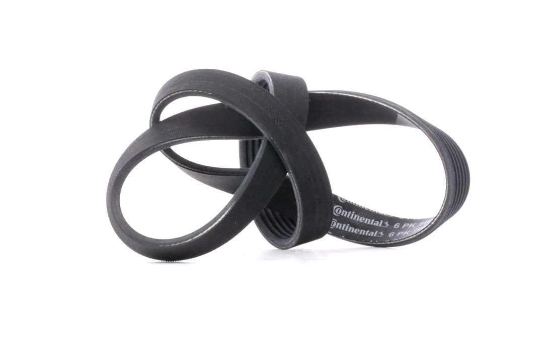 CONTITECH Courroie Trapézoïdale à Nervures 6PK1000 MERCEDES-BENZ,AUDI,VW,T1 Furgón 601,T2/LN1 Furgón