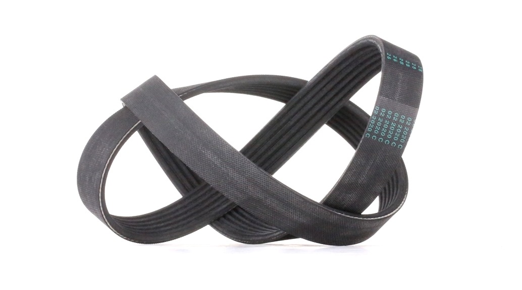 CONTITECH Courroie Trapézoïdale à Nervures 6PK1005 BMW,FIAT,AUDI,X1 E84,1 F20,X3 F25,3 F30, F35, F80