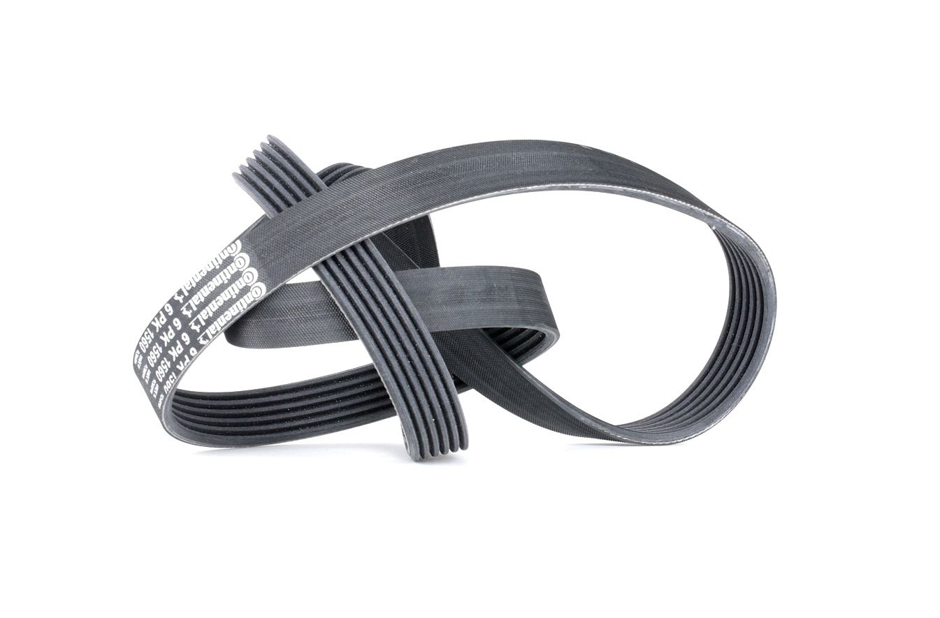 CONTITECH Courroie Trapézoïdale à Nervures 6PK1560 BMW,FORD,TOYOTA,5 E60,3 E36,5 E34,5 Touring E61,7