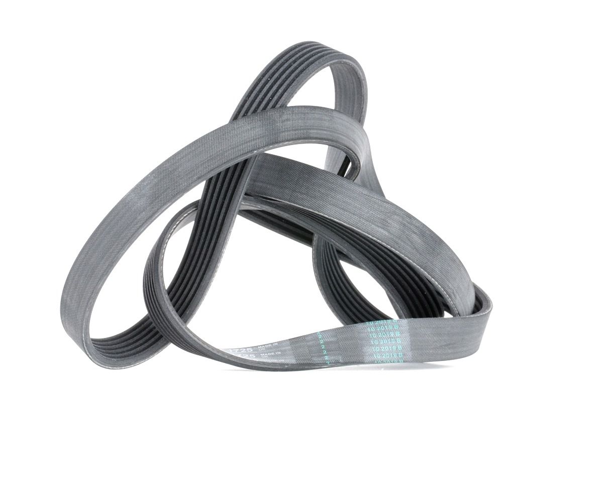 CONTITECH Courroie Trapézoïdale à Nervures 6PK1725 DAEWOO,FIAT,SAAB,REZZO KLAU,NUBIRA Sedán KLAN,LAC