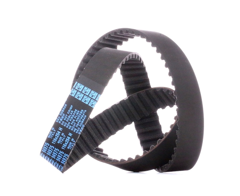 DAYCO Courroie De Distribution 94975 Croix De Distribution,Courroie crantée FIAT,LANCIA,VOLVO,SCUDO 