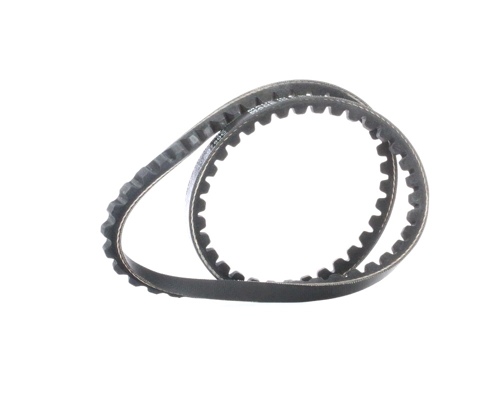 DAYCO Courroie Trapézoïdale 10A0750C VW,VOLVO,SUZUKI,GOLF III 1H1,SHARAN 7M8, 7M9, 7M6,GOLF III Cabr
