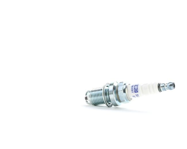 Spark Plug with OEM Number 91 95 109