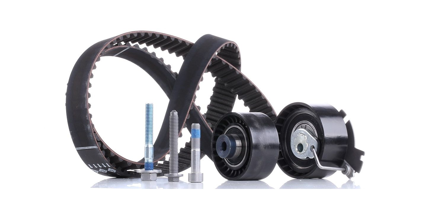 INA Kit De Distribution 530 0379 10 CITROËN,PEUGEOT,C3 I FC_,XSARA PICASSO N68,BERLINGO MF,C4 I LC_,