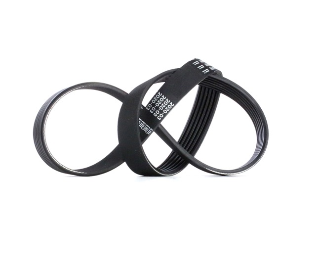 Keilrippenriemen Länge: 915mm, Rippenanzahl: 6 mit OEM-Nummer 31110-P13-003