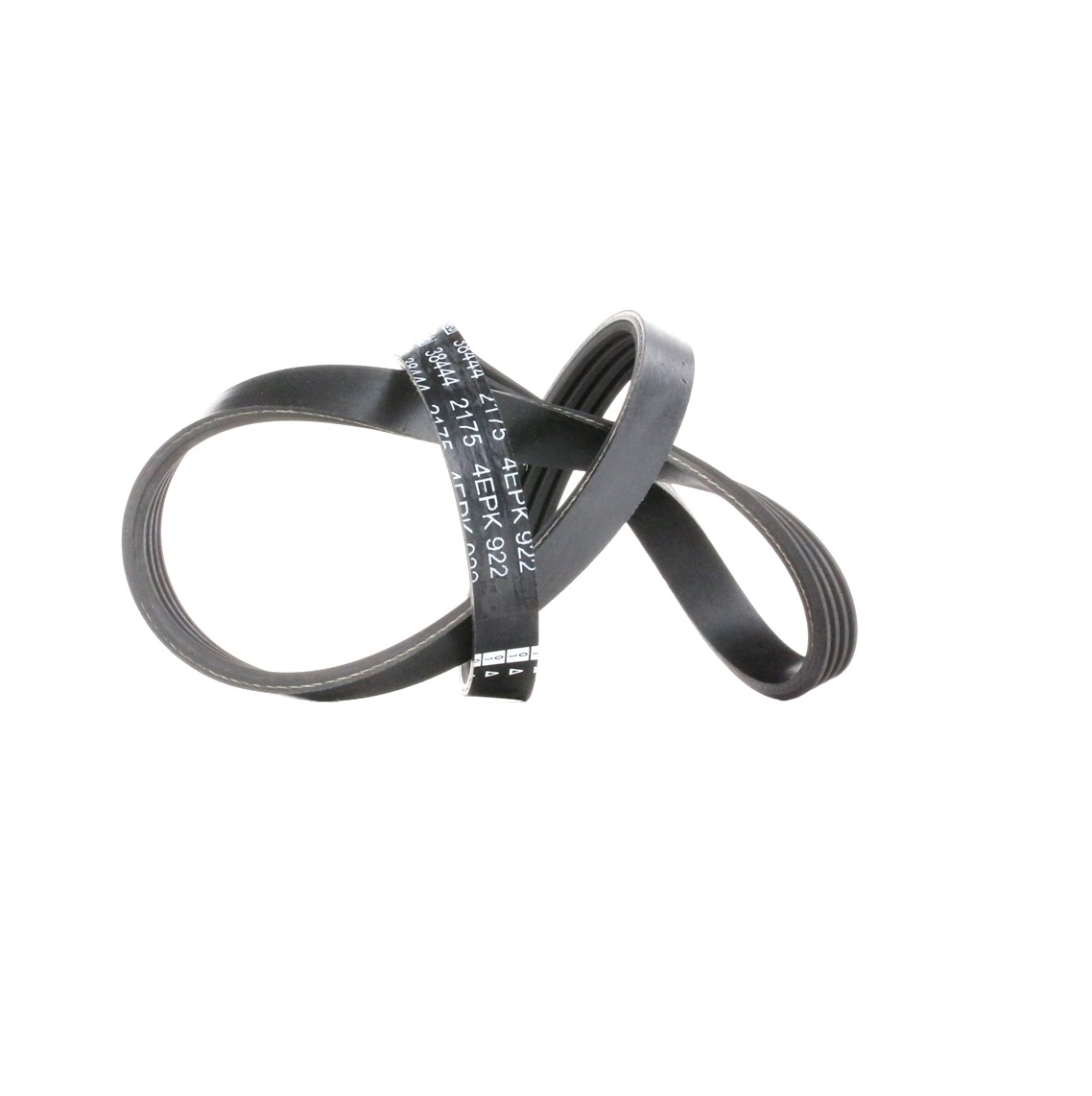 FEBI BILSTEIN Courroie Trapézoïdale à Nervures 38444 FIAT,PEUGEOT,FORD,DUCATO Caja/Chasis 250,DUCATO