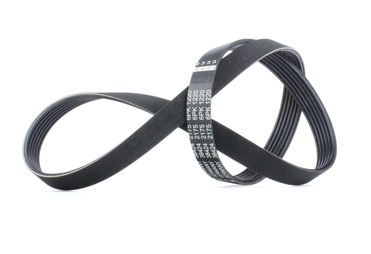 FEBI BILSTEIN Courroie Trapézoïdale à Nervures 38424 FIAT,RENAULT,VOLVO,SCUDO 270_,SCUDO Furgón 270_