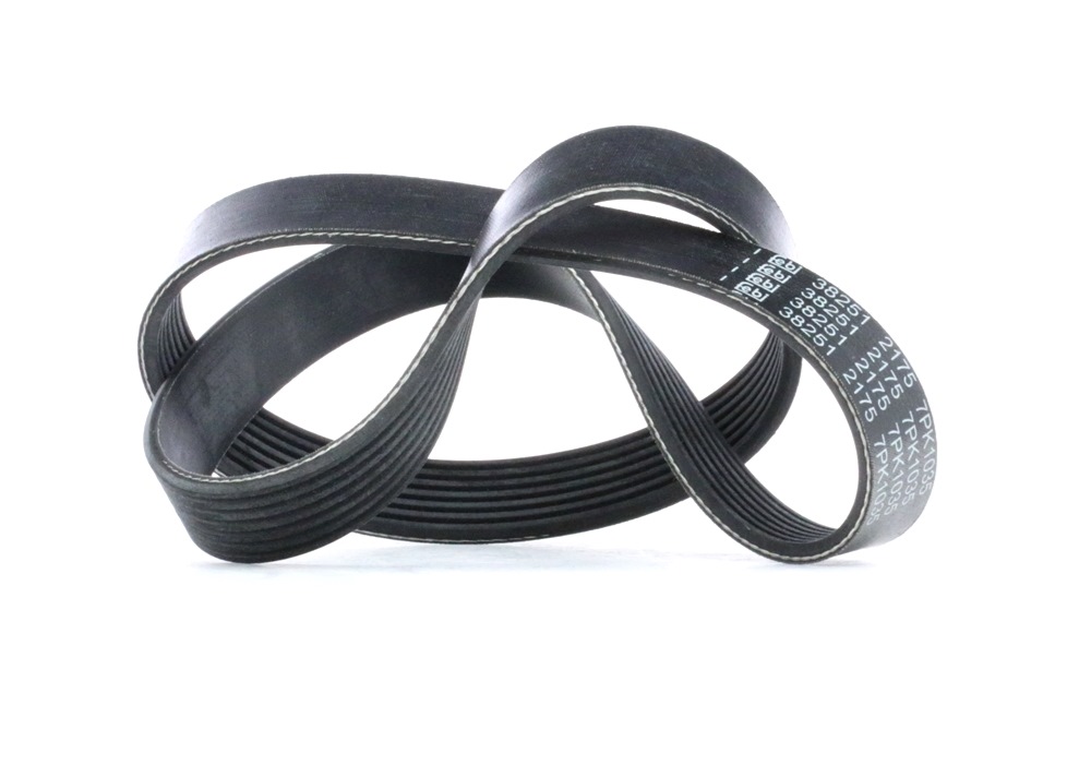 FEBI BILSTEIN Courroie Trapézoïdale à Nervures 38251 BMW,RENAULT,7 E38,8 E31,CLIO III BR0/1, CR0/1,M