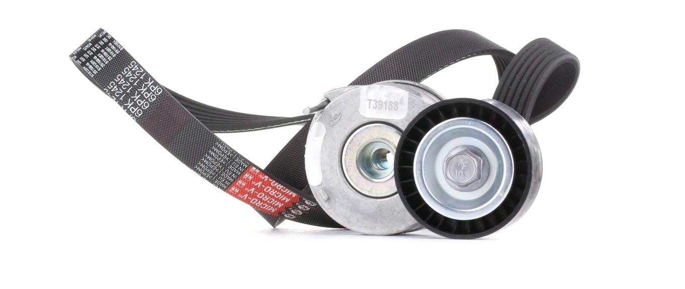 GATES Jeu De Courroie Trapézoïdale à Nervures K046PK1245 Jeu de courroies trapézoïdales à nervures F