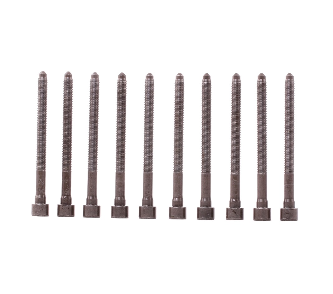 REINZ Jeu De Vis De Culasse 14-32276-01 Jeu de boulons de culasse de cylindre VW,AUDI,SKODA,GOLF V 1