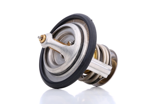 Calorstat TH6541.82J Termostato