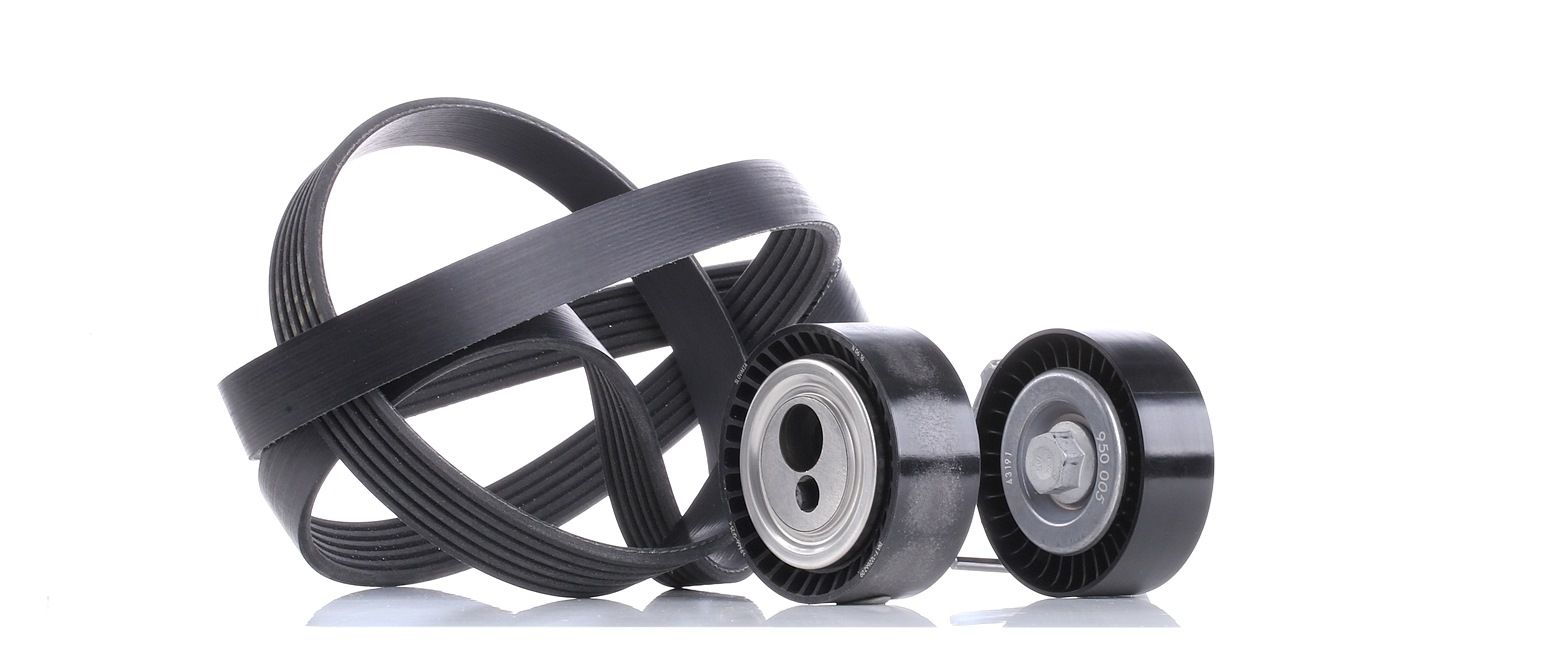 INA Jeu De Courroie Trapézoïdale à Nervures 529 0017 10 Jeu de courroies trapézoïdales à nervures FI