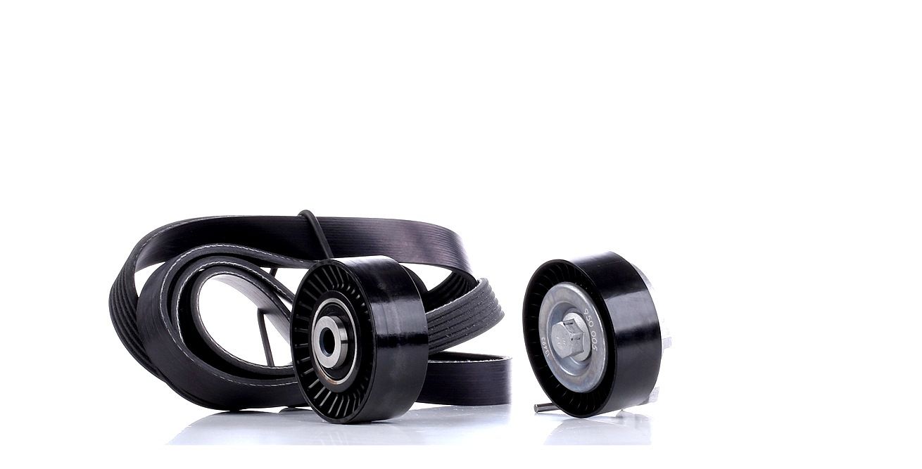 INA Jeu De Courroie Trapézoïdale à Nervures 529 0018 10 Jeu de courroies trapézoïdales à nervures PE