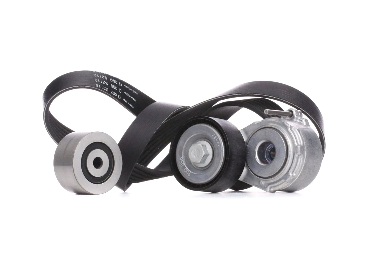 INA Jeu De Courroie Trapézoïdale à Nervures 529 0019 10 Jeu de courroies trapézoïdales à nervures PE