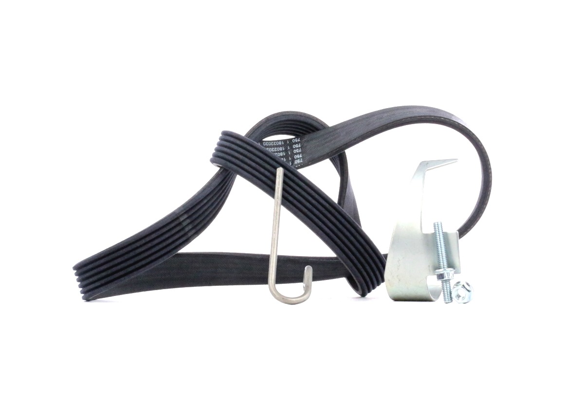 CONTITECH Jeu De Courroie Trapézoïdale à Nervures 6PK1019 ELAST T2 Jeu de courroies trapézoïdales à