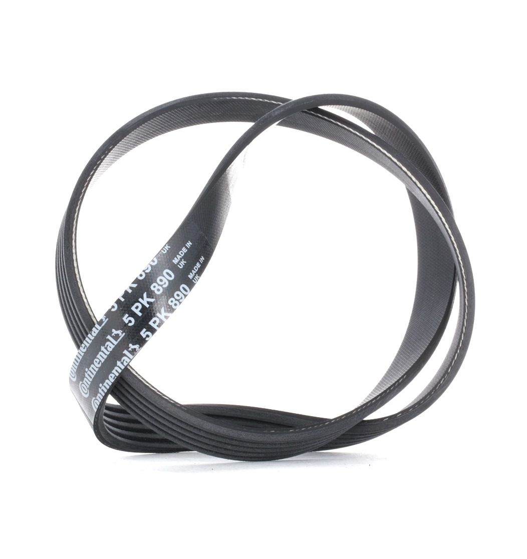 BOSCH Courroie Trapézoïdale 1 987 947 777 FIAT,LANCIA,RENAULT,DUCATO Caja/Chasis 290,CROMA 154,DUCAT