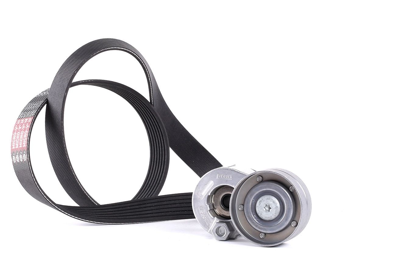 GATES Jeu De Courroie Trapézoïdale à Nervures K017PK1125 Jeu de courroies trapézoïdales à nervures R