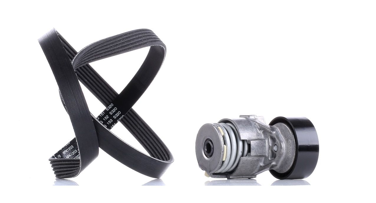 INA Jeu De Courroie Trapézoïdale à Nervures 529 0009 10 Jeu de courroies trapézoïdales à nervures RE