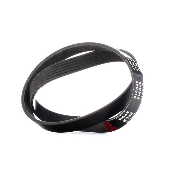 Keilrippenriemen Länge: 915mm, Rippenanzahl: 6 mit OEM-Nummer 31110P13003