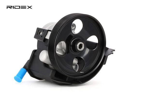 RIDEX Servopumpe 12H0035