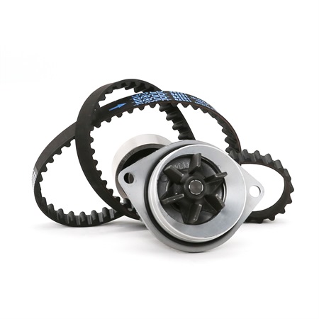 Pompa Acqua Febi-Bilstein 32725 Kit Cinghie Dentate
