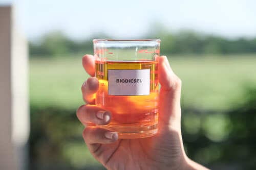 wat is biodiesel