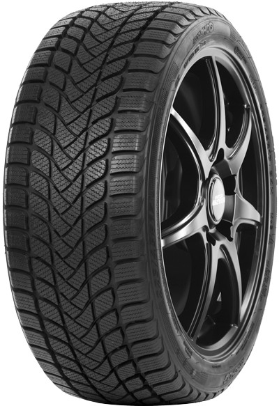 WINTER+ WINTER+ Roadhog EAN:6921109029324 All terrain tyres