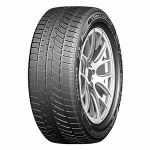 Zimní pneu 21 palců Fortune FSR901 295/35 R21 R-389514