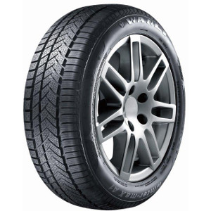 SW211 M+S 3PMSF TL Pneu Wanli 205/55 R16 91H prix