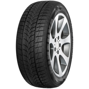 Minerva Frostrack UHP Gomme auto 255/45/R18
