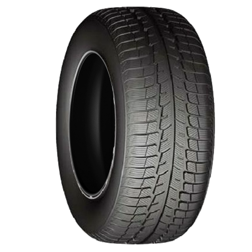 AP229H1 APlus 205/55 R16 91H A501 Preis
