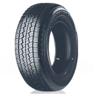 Tranpath A14 Toyo Året-runt-däck SUV 215/70 R16 158680