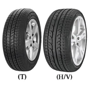 Weather-master SA2 + Reifen Cooper 225/55 R17 97H Preis