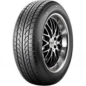 Bildekk PEUGEOT 245 45 R18 Riken MAYSTORM 2 B2 071075