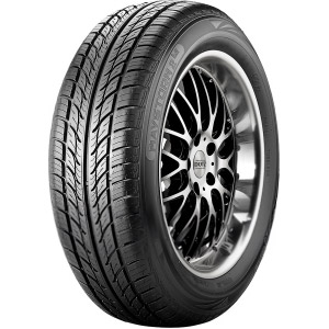Fahrzeugreifen SMART 205 45 R16 Riken MAYSTORM 2 B2 129740