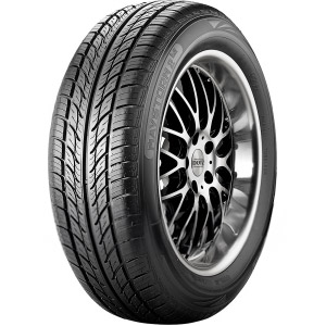 529164 Riken 205/55 ZR16 91W MAYSTORM 2 B2 Preis