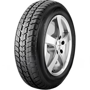 PKW Reifen PROTON 175 70 R13 BF Goodrich Winter G 890080