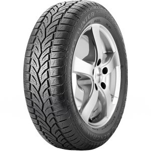 Vinterdekk 205 60 R16 96H for Bil, Lette lastebiler, SUV MPN:15489280000