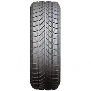 VW CC 358 Reifen 205 50 R17 93H Horizon HW505 289525