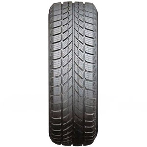 Horizon HW505 205/50R17 vinterdäck pris