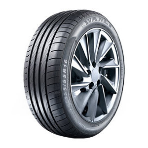 Däck Alpina B10 E39 - Wanli SA302 275/30 R19