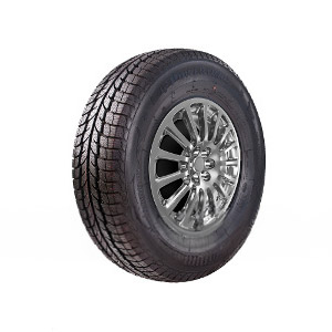 PO222H1 PowerTrac 185/70 R14 92T SnowTour Preis